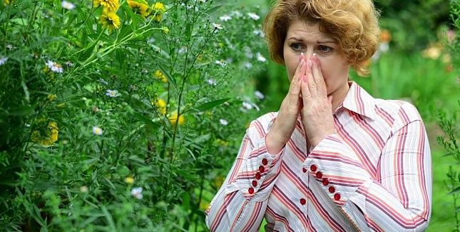 Аллергический синусит Аллергический синусит